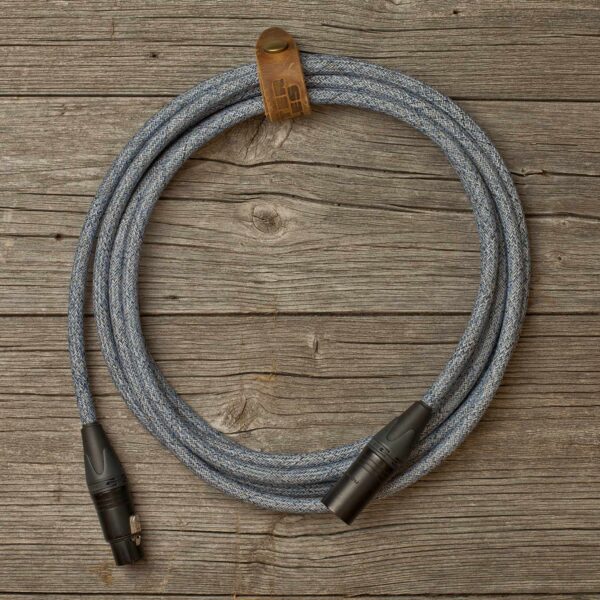CANVAS BLUE MICROPHONE